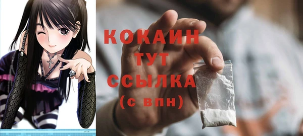 прущий лед Туринск