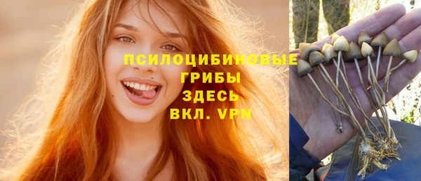 Альфа ПВП Ачинск