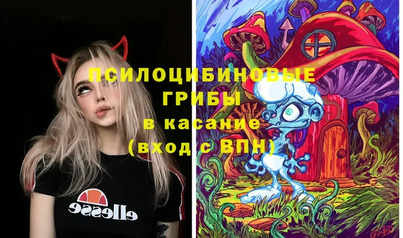 Галлюциногенные грибы Magic Shrooms  Константиновск 